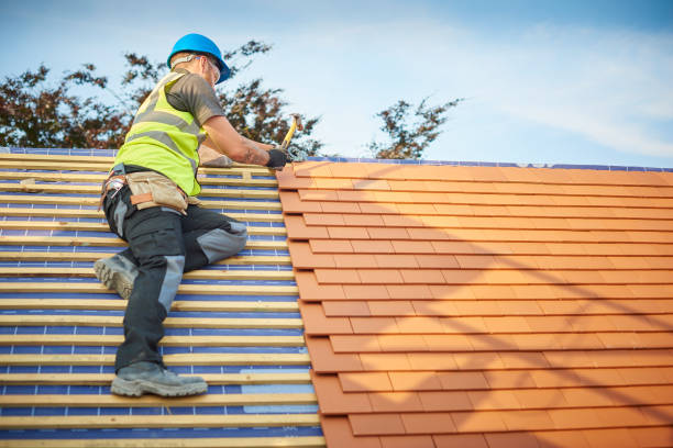 Best Skylight Installation and Repair  in Ferron, UT